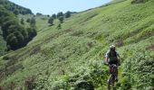 Tocht Mountainbike Urepel - Le Sentier des Contrebandiers en VTT - De Urepel à St Etienne de Baïgorry - Photo 1