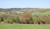 Trail Equestrian Isches - Circuit équestre des Marches de Lorraine (Grande boucle). - Photo 1