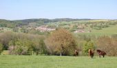 Percorso Cavallo Isches - Circuit équestre des Marches de Lorraine (Grande boucle). - Photo 1