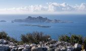 Trail Walking Marseille - La Tête de Mavallon 329m depuis Callelongue - Photo 1