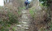 Trail Mountain bike Saint-Médard-en-Forez - La Randonnée des Moulins (2014-VTT-26km) - Saint Médard en Forez - Photo 2