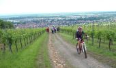 Trail Cycle Molsheim - Bacchus à vélo - Molsheim  - Photo 5
