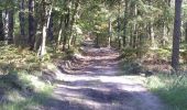 Tour Mountainbike Saint-Philbert-sur-Risle - Autour de Saint-Philbert-sur-Risle - Photo 3