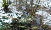 Trail Walking Saint-Nicolas-des-Biefs - Ronde boisée des rochers et des ruisseaux - La Verrerie - Photo 2
