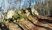 Trail Walking Saint-Nicolas-des-Biefs - Ronde boisée des rochers et des ruisseaux - La Verrerie - Photo 1