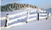 Tocht Sneeuwschoenen Viuz-la-Chiésaz - Raquettes au Semnoz - Leschaux - Photo 2