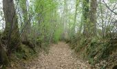 Trail Walking Feins - L'étang et la rigole du Boulet - Feins  - Photo 4