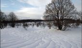 Excursión Raquetas de nieve Haut Valromey - Plan d'Hotonnes - GTJ - Photo 3