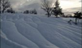 Tour Schneeschuhwandern Haut Valromey - Plan d'Hotonnes - GTJ - Photo 2