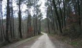 Trail Walking Andiran - Andiran, randonnée entre l'Osse et la Gélise - Photo 2