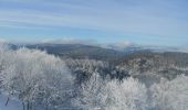 Tour Wandern Büssing - Le Drumont par la Hutte - Bussang  - Photo 3