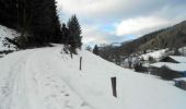 Tour Schneeschuhwandern Büssing - Le Drumont par la Hutte - Bussang  - Photo 6