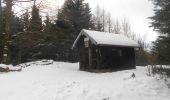 Tocht Sneeuwschoenen Bussang - Le Drumont par la Hutte - Bussang  - Photo 5