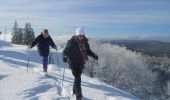 Tocht Sneeuwschoenen Bussang - Le Drumont par la Hutte - Bussang  - Photo 2