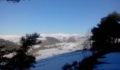 Tocht Sneeuwschoenen Paulhac - Le Puy de Mercou en raquettes - Photo 5