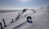 Tocht Sneeuwschoenen Paulhac - Le Puy de Mercou en raquettes - Photo 2