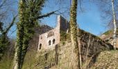 Randonnée Marche Oberbronn - En forêt de Niederbronn de Oberbronn au château de Wasenbourg - Photo 4
