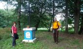 Trail Walking Bitche - Randonnée facile autour de Bitche par le col de Schimberg - Photo 4