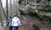 Tour Wandern Reipertsweiler - Boucle de Melch à Reipertswiller - Photo 4