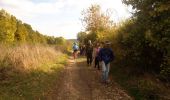 Trail Walking Lixing-lès-Rouhling - Sur les hauteurs de Grosbliederstroff - Lixing lès Rouhling - Photo 6