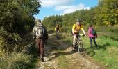 Trail Walking Lixing-lès-Rouhling - Sur les hauteurs de Grosbliederstroff - Lixing lès Rouhling - Photo 1
