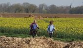 Randonnée Autre activité Drosay -  Le bois des Saules - Drosay - Photo 4