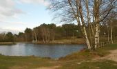 Tour Wandern Iffendic - L'étang des landiers - Iffendic  - Photo 5