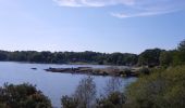 Tour Wandern Iffendic - L'étang des landiers - Iffendic  - Photo 4