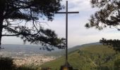 Trail Mountain bike Aiguefonde - Les cinq croix - Saint Alby - Photo 3