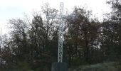 Randonnée V.T.T. Aiguefonde - Les cinq croix - Saint Alby - Photo 6