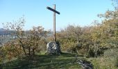 Percorso Mountainbike Aiguefonde - Les cinq croix - Saint Alby - Photo 2