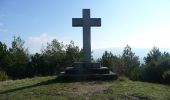 Trail Mountain bike Aiguefonde - Les cinq croix - Saint Alby - Photo 1