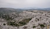 Tour Wandern Marseille - Le Mont Puget 563m, par le Vallon de l'Herbe et le Vallon Mestrallet - Photo 1