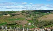 Percorso Mountainbike Saint-Germain-Nuelles - Entre Vignes et Pierres Dorées (2014-VTT-55km) - Saint Germain Nuelles - Photo 4