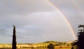 Tocht Stappen Moncaut - Balade en Gascogne - Moncaut - Photo 1