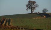 Tocht Stappen Moncrabeau - Le Mont des Chèvres - Moncrabeau - Photo 2