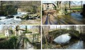 Randonnée V.T.T. Vézelin-sur-Loire - Le Val d'Isable sauvage et ses petits ponts - Amions - Photo 4
