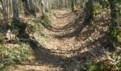 Trail Walking Lissac-sur-Couze - Les coteaux du Lac du Causse - 18km - Lissac sur Couze - Pays de Brive - Photo 1