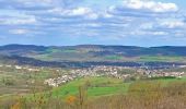 Tour Mountainbike Pagny-sur-Moselle - Vélo et Nature 2014 - Pagny sur Moselle - Photo 2