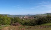 Tocht Mountainbike Pagny-sur-Moselle - Vélo et Nature 2014 - Pagny sur Moselle - Photo 1