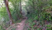 Trail Walking Geu - De Geu à Lias - Photo 5