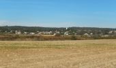 Randonnée Marche Collorgues - Château de Castelnau - Collorgues - Photo 1