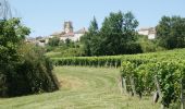 Trail Mountain bike Montagnac-sur-Auvignon - Petite montagne d'Albret - Montagnac sur Auvignon  - Photo 5