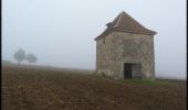 Tocht Mountainbike Montagnac-sur-Auvignon - Petite montagne d'Albret - Montagnac sur Auvignon  - Photo 4