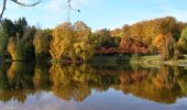 Tocht Stappen Bitche - Etang de Hasselfurth et Hochkopf - Bitche - Photo 5