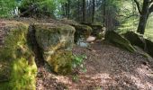 Tour Wandern Bitsch - Etang de Hasselfurth et Hochkopf - Bitche - Photo 1