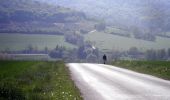 Tour Wandern Saint-Pierre-sur-Vence - De St Pierre sur Vence à Champigneul sur Vence - Photo 4