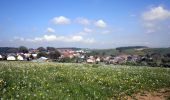 Trail Walking Saint-Pierre-sur-Vence - De St Pierre sur Vence à Champigneul sur Vence - Photo 3