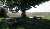 Tour Wandern Saint-Pierre-sur-Vence - De St Pierre sur Vence à Champigneul sur Vence - Photo 2