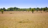 Tocht Stappen Latresne - Circuit de Garonne - Latresne - Photo 4